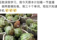 娱乐圈吃瓜大全pdf,吃瓜大全PDF深度解析