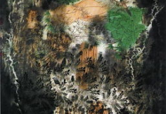 把你吃瓜变成娱乐圈了,吃瓜群众变身娱乐圈风云人物