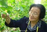 娱乐吃瓜君高压水枪,高压水枪背后的娱乐风云