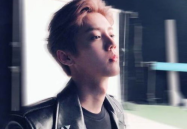 娱乐吃瓜鹿晗,娱乐界的瓜王，揭秘明星背后的故事