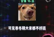 娱乐八卦劲爆吃瓜,劲爆吃瓜事件大曝光！