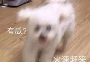 吃瓜娱乐圈聊天记录截图,揭秘明星私下真实互动！